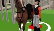 Прыжки на Лошади 3Д