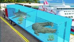 Транспортировка Морских Животных