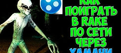    RAKE   STEAM
