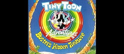   TINY TOON

