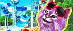 :   ROBLOX Waterpark        
