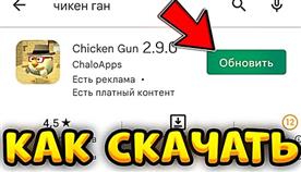   Chicken Gun
