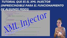   Xml Injector   4
