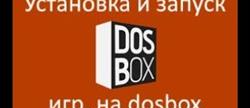 Dosbox   
