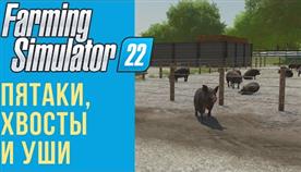 Farming simulator 22  