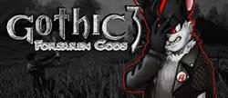 Gothic 3 forsaken gods 
