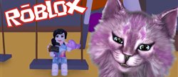 :        roblox    
