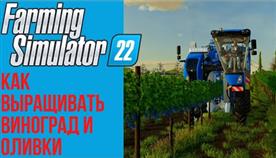 Как Farming Simulator 22 Посадить Виноград
