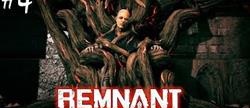      13 remnant
