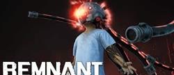    remnant
