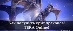      tera
