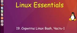   bash 
