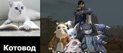 Lineage 2  
