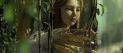 Lineage 2 

