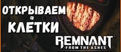   remnant
