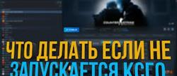  csgo  
