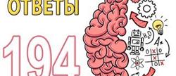  brain 
