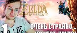   zelda breath of the wild
