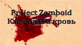 Project Zomboid     
