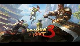    Shadow Fight 3
