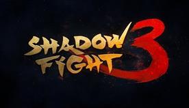 Shadow fight 3 