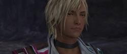 The last remnant 
