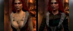 The witcher 1   
