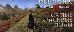 The witcher 3   
