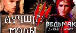The witcher 3 wild hunt  18
